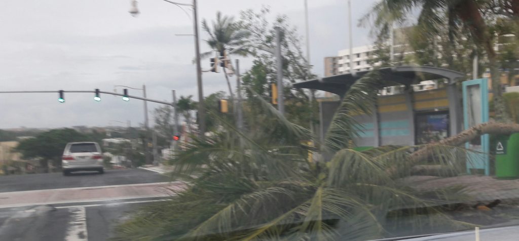 Aftermath of Typhoon Mangkhut