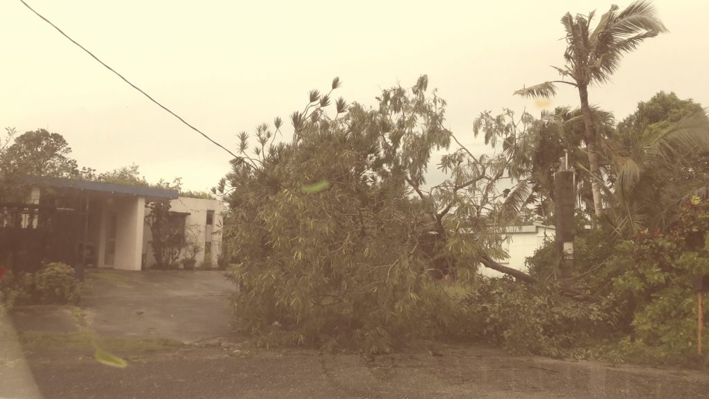 Aftermath of Typhoon Mangkhut